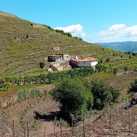 Casa Da Quinta Do Porto Villa Lamego Luaran gambar