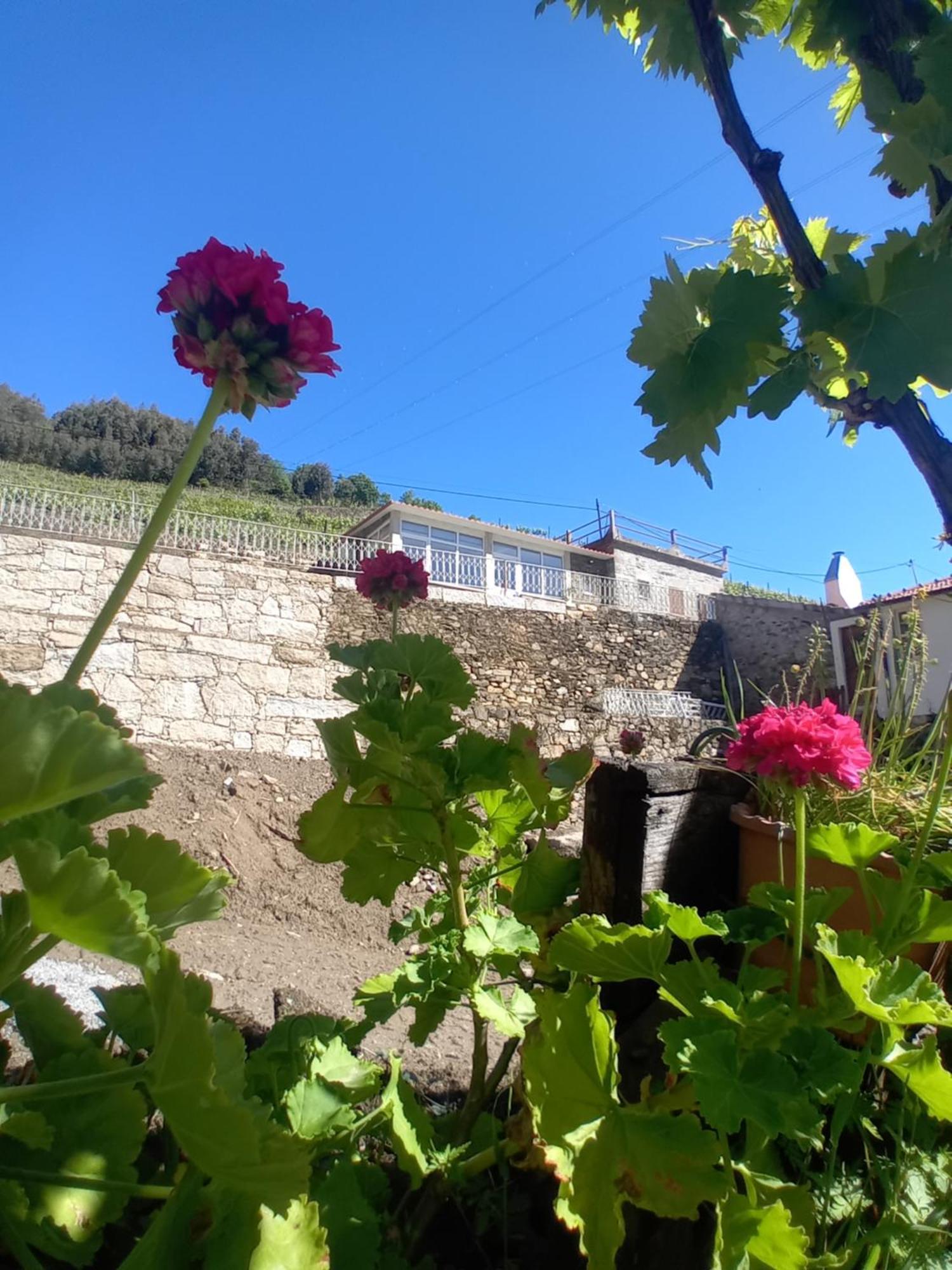 Casa Da Quinta Do Porto Villa Lamego Luaran gambar