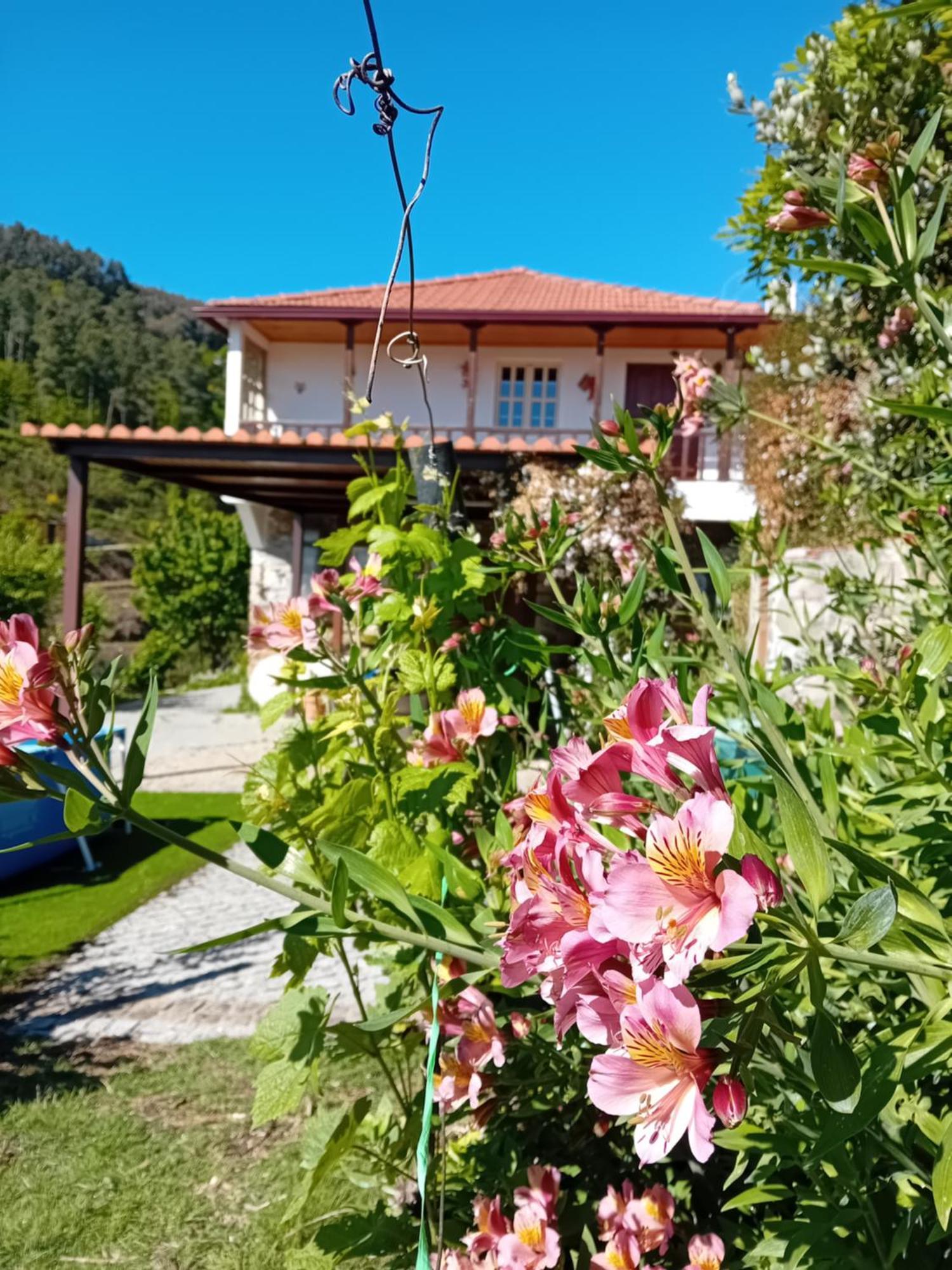 Casa Da Quinta Do Porto Villa Lamego Luaran gambar