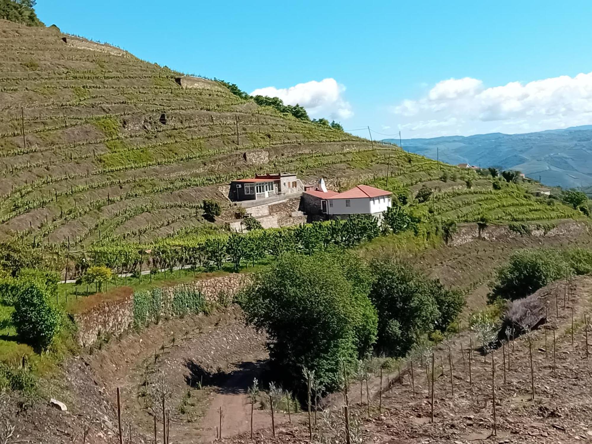 Casa Da Quinta Do Porto Villa Lamego Luaran gambar