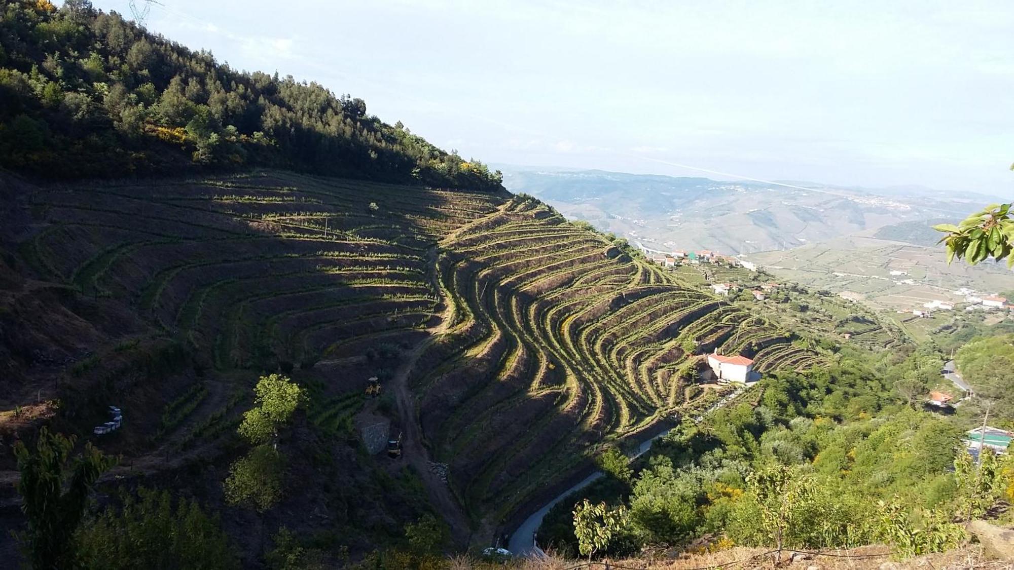 Casa Da Quinta Do Porto Villa Lamego Luaran gambar