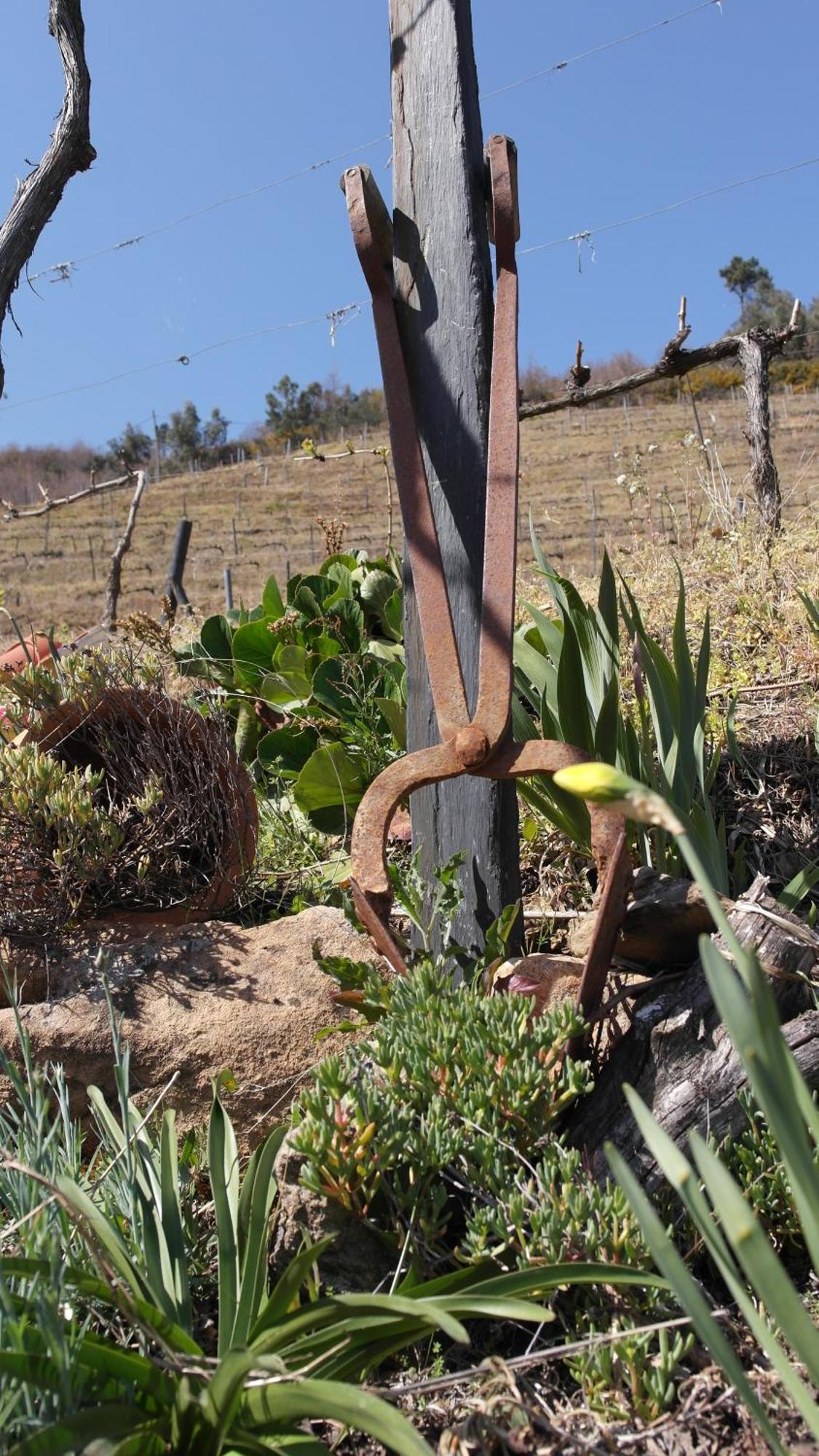 Casa Da Quinta Do Porto Villa Lamego Luaran gambar