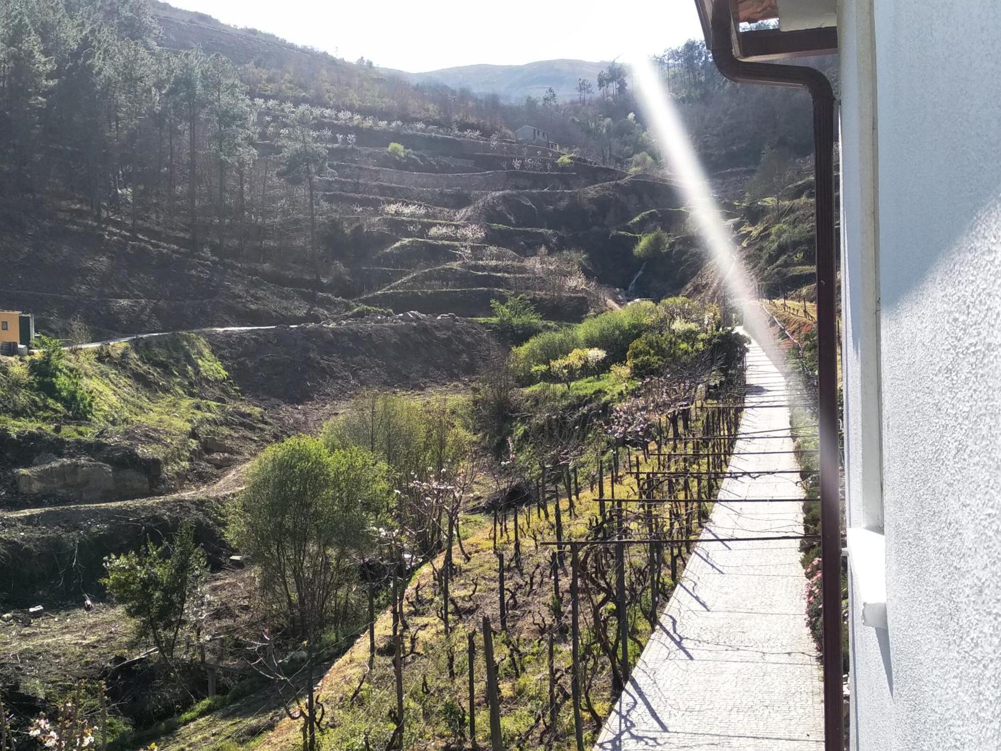 Casa Da Quinta Do Porto Villa Lamego Luaran gambar