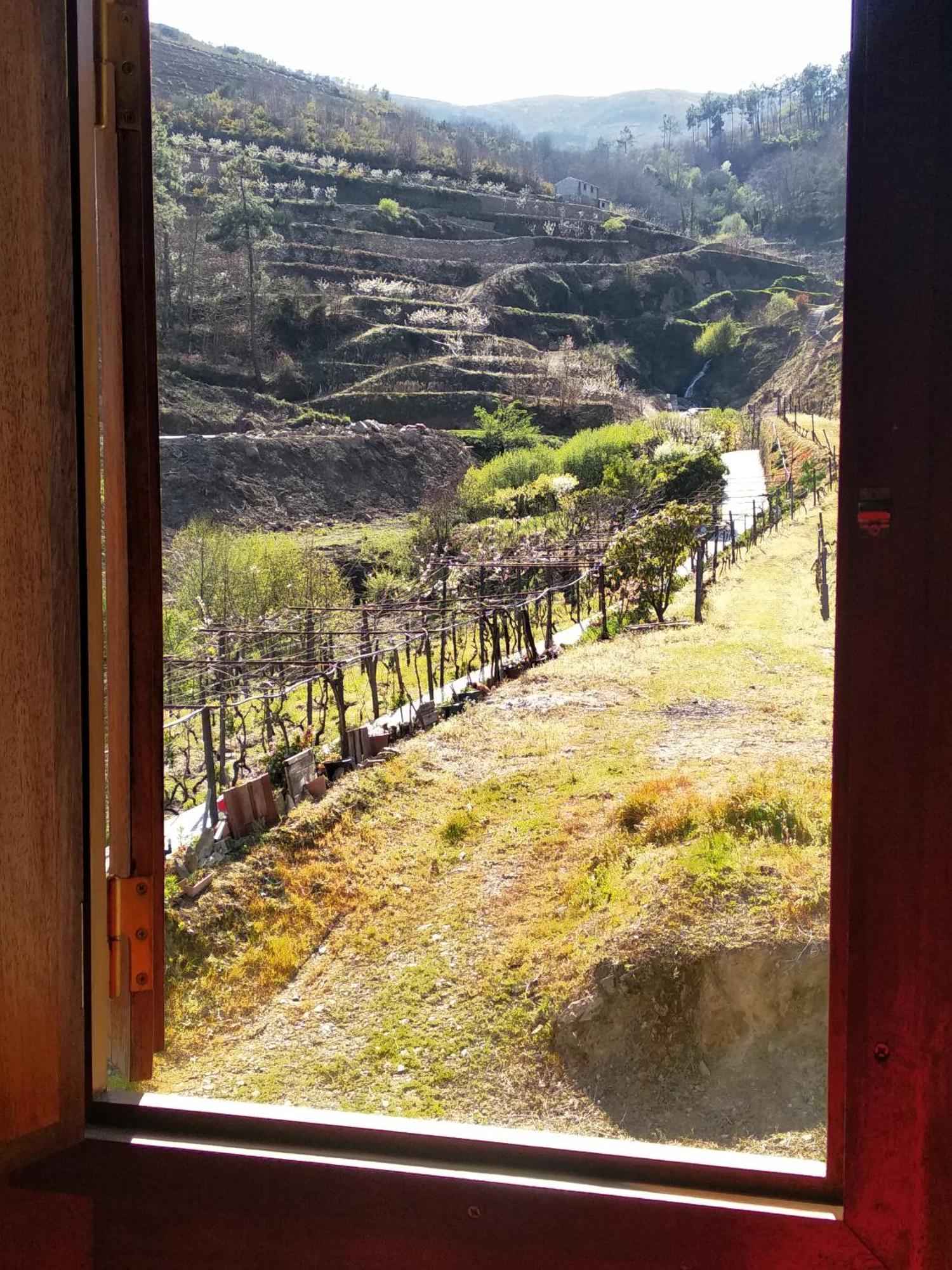 Casa Da Quinta Do Porto Villa Lamego Luaran gambar