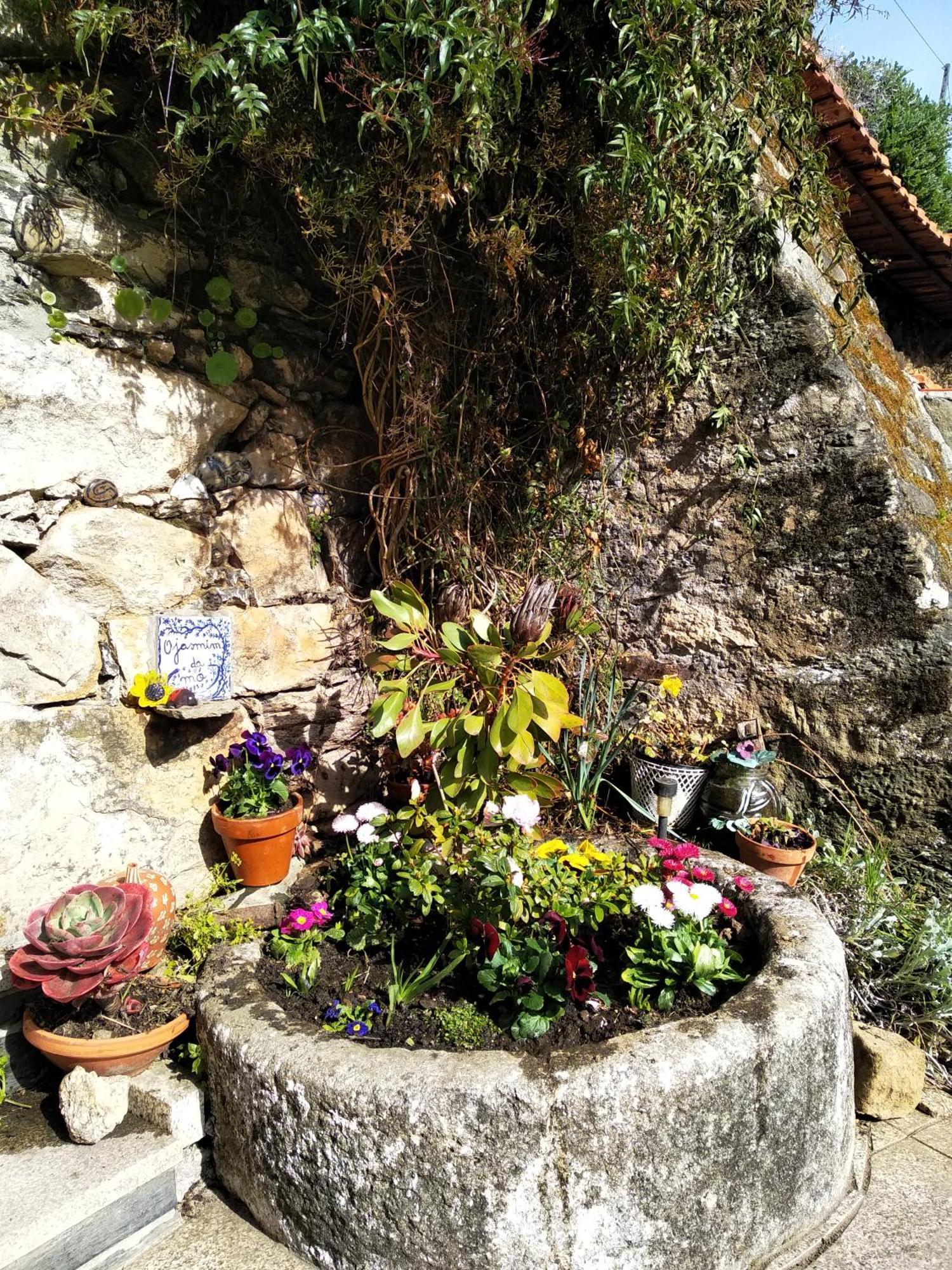 Casa Da Quinta Do Porto Villa Lamego Luaran gambar