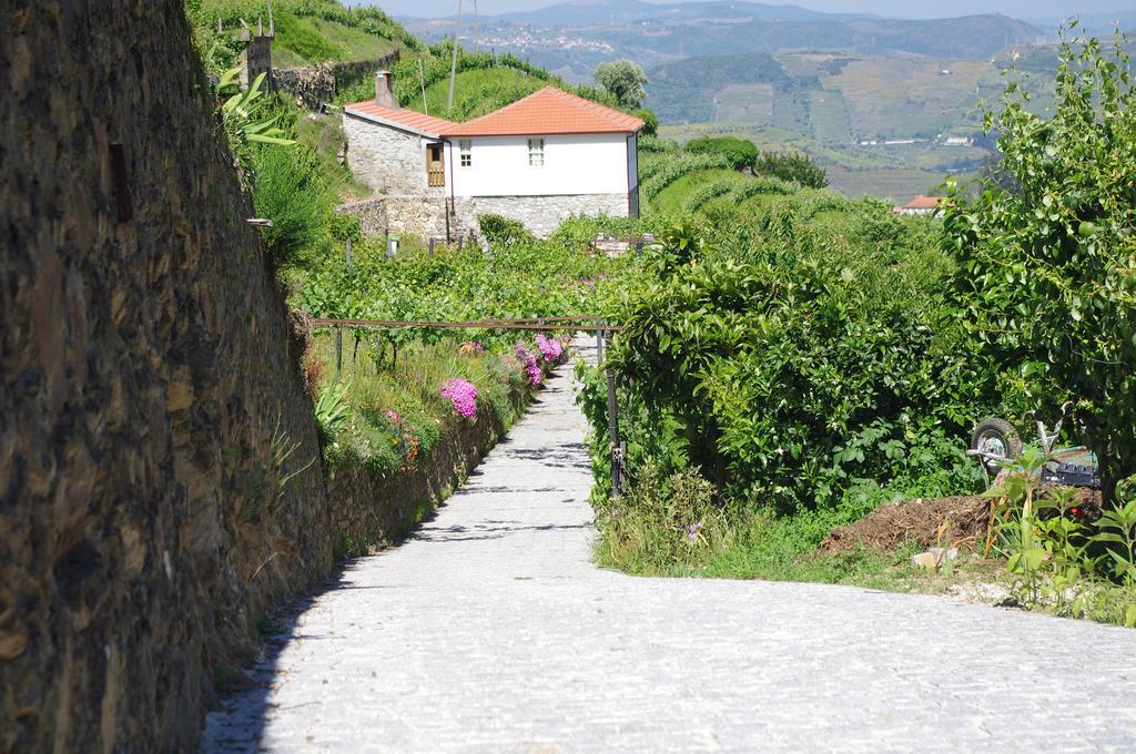 Casa Da Quinta Do Porto Villa Lamego Luaran gambar