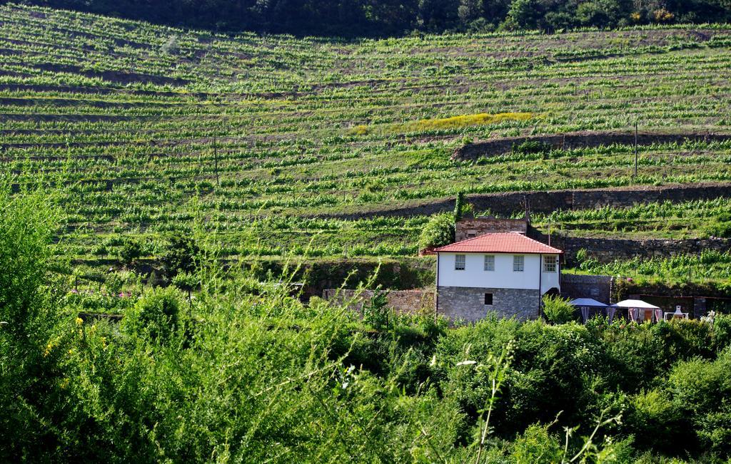 Casa Da Quinta Do Porto Villa Lamego Luaran gambar