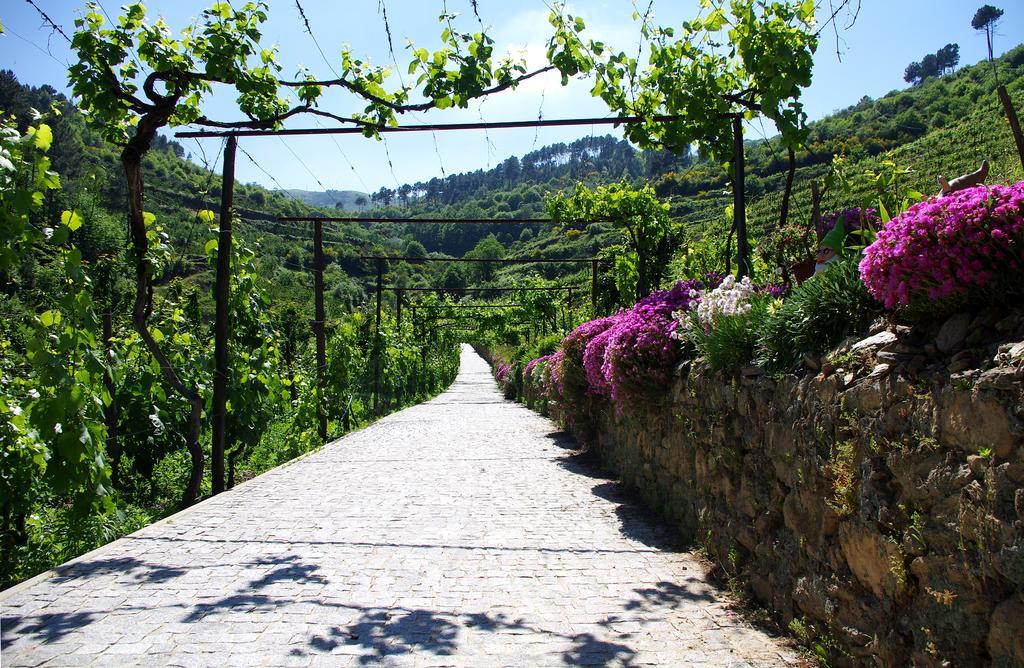 Casa Da Quinta Do Porto Villa Lamego Luaran gambar