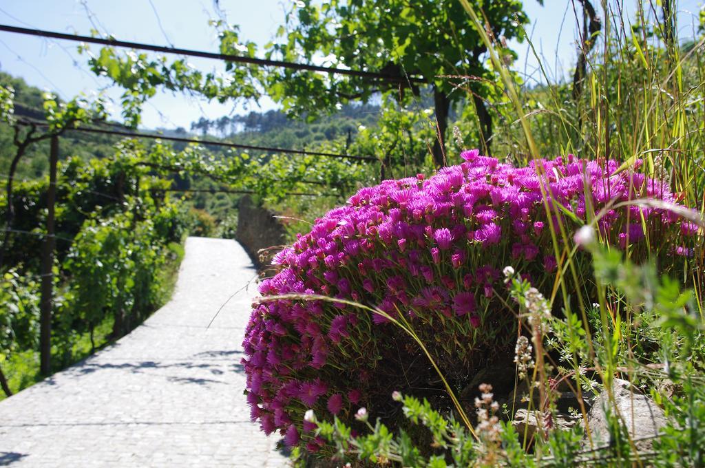 Casa Da Quinta Do Porto Villa Lamego Luaran gambar