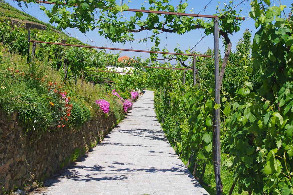 Casa Da Quinta Do Porto Villa Lamego Luaran gambar