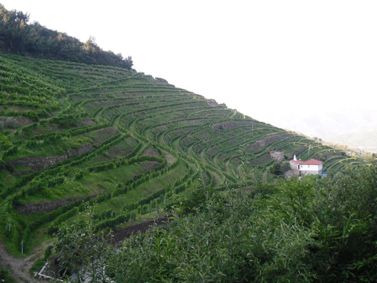 Casa Da Quinta Do Porto Villa Lamego Luaran gambar